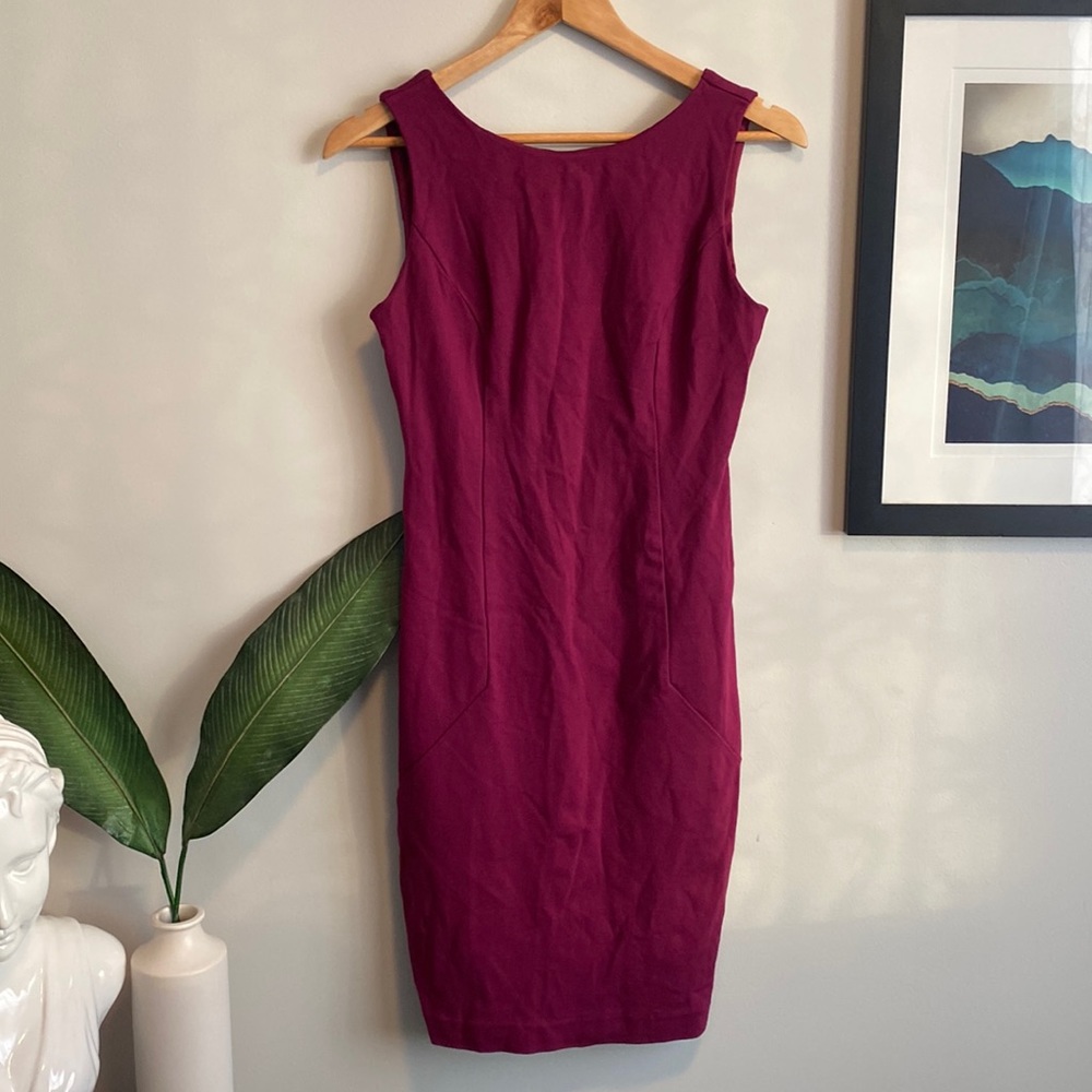 Berry Stretch Sheath Dress